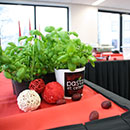 pastaetcetera-buffet3